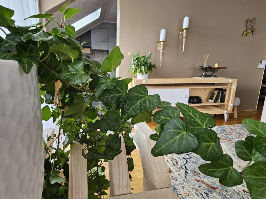 Sideboard / Regal Hanwei